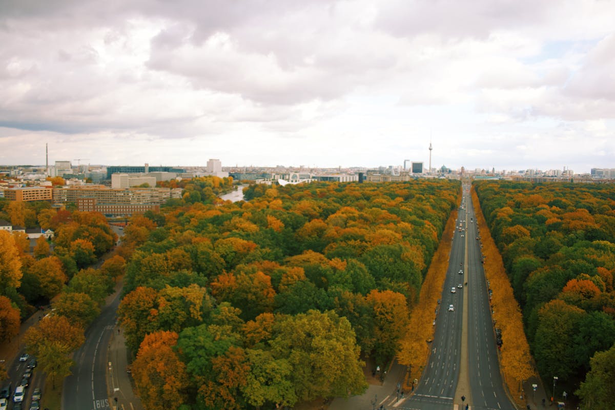Aerial view of Berlin Tiergarten park with autumn foliage