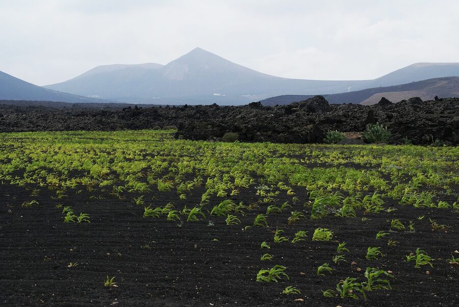 Close up of solidified lava rock formation in Timanfaya Lanzarote