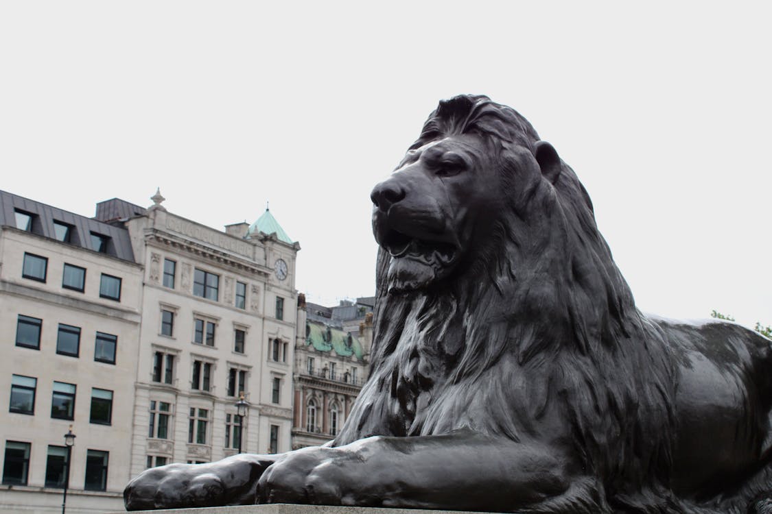 Iconic Trafalgar Square lion statue set against historic London architecture