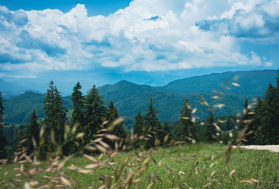 Scenic Carpathian mountain landscape near Brasov Romania