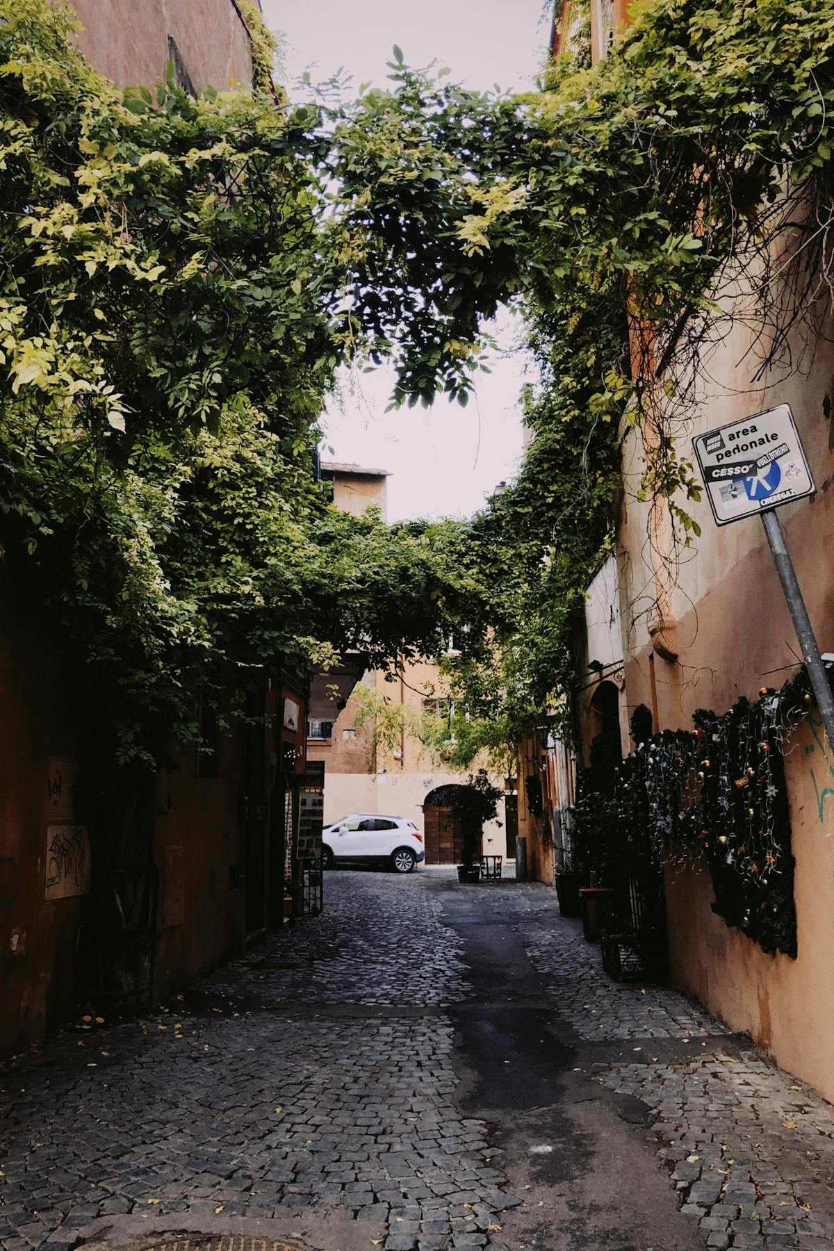 Peaceful alley with lush greenery and cobblestone path in Trastevere
