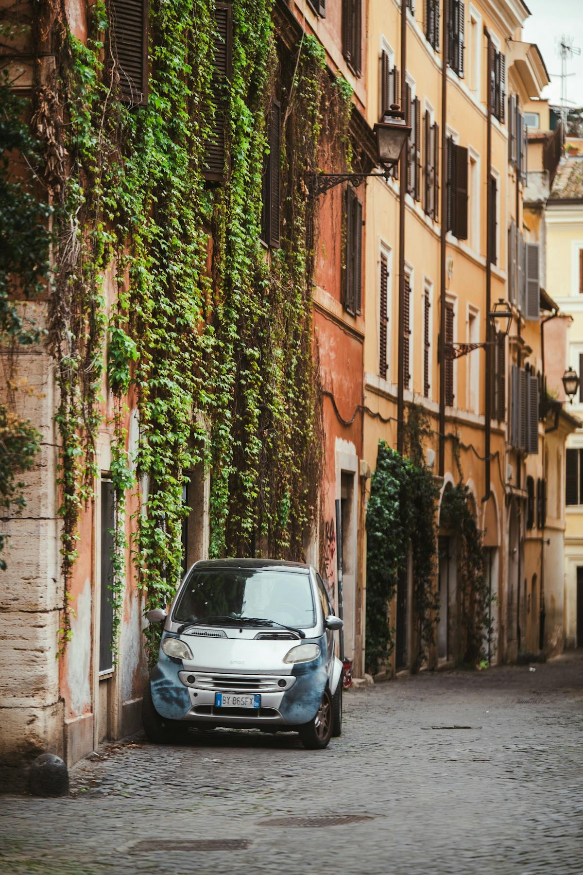 Narrow cobblestone alley with climbing plants in Trastevere