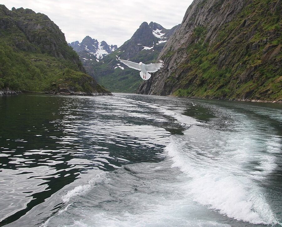 Boat exiting Trollfjord into the wider Raftsundet strait