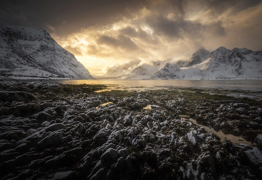 Lofoten fjord at sunset with golden light on water