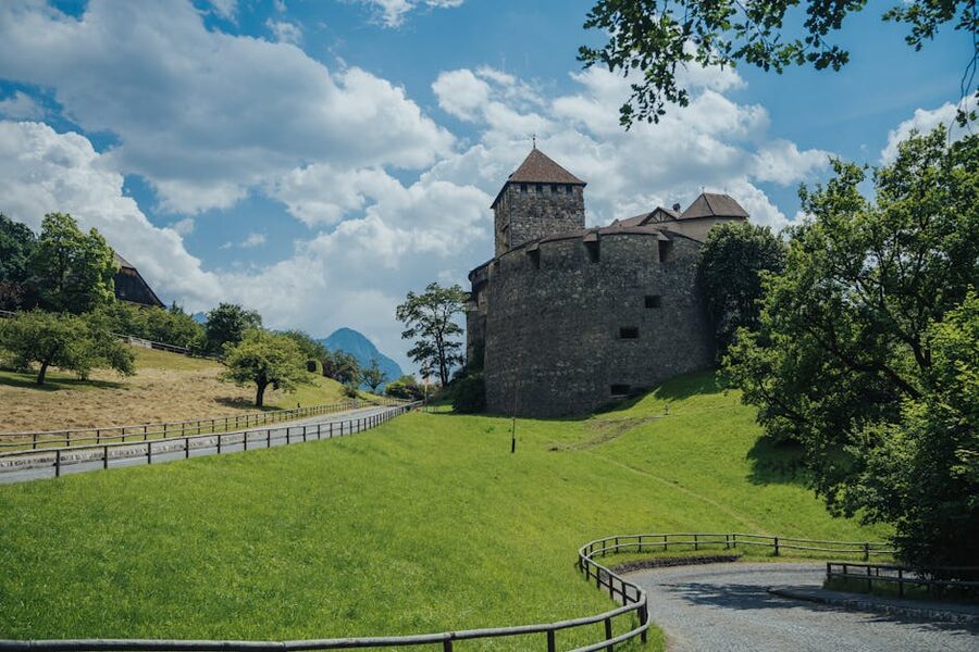Vaduz Castle with green fields and blue sky