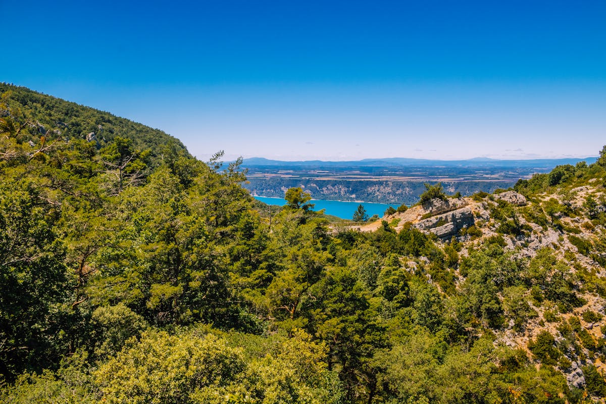 Breathtaking view of the Verdon Gorge with lush greenery and turquoise river under a clear blue sky