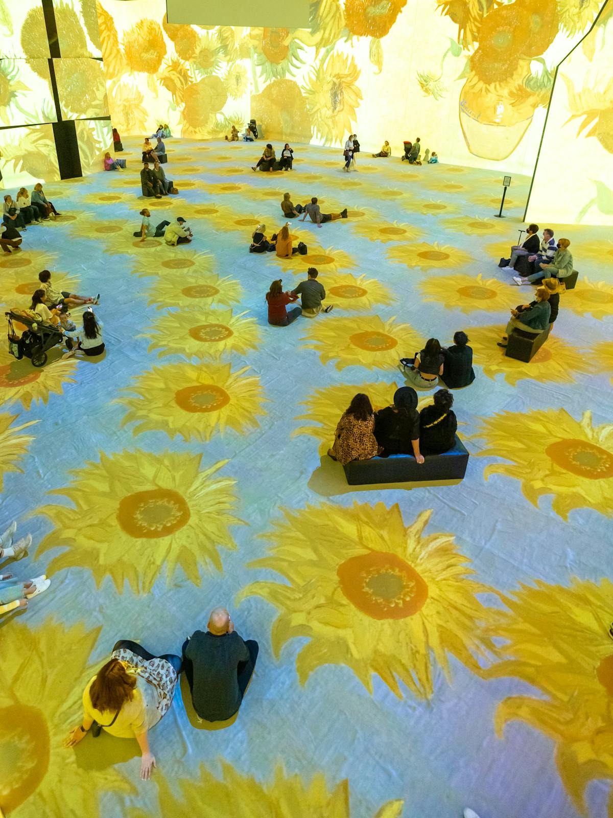 Immersive sunflower art exhibition