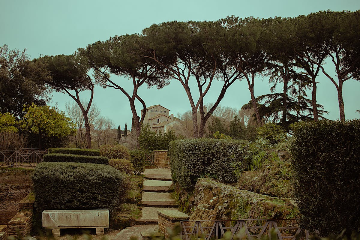 Lush green pathway lined with tall Mediterranean pine trees in the Villa Borghese Gardens in Rome
