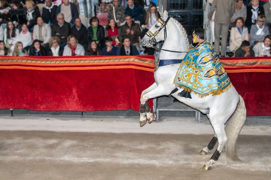 White horse with decorative saddle rearing up in an arena performance