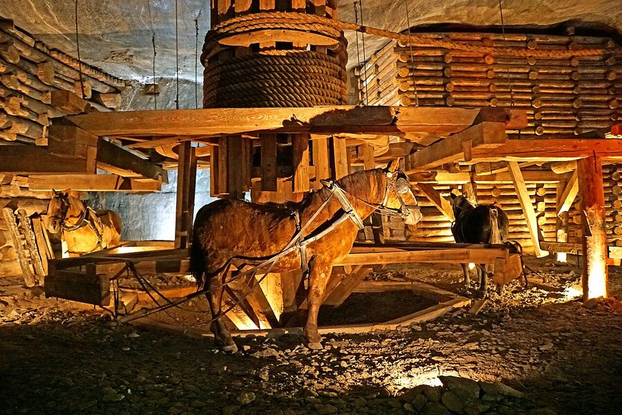 Hungarian horse treadmill 18th century Wieliczka Komora Kraj