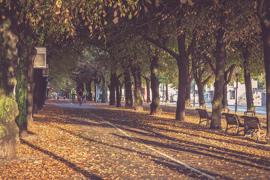 Strandvagen bike and pedestrian path Stockholm