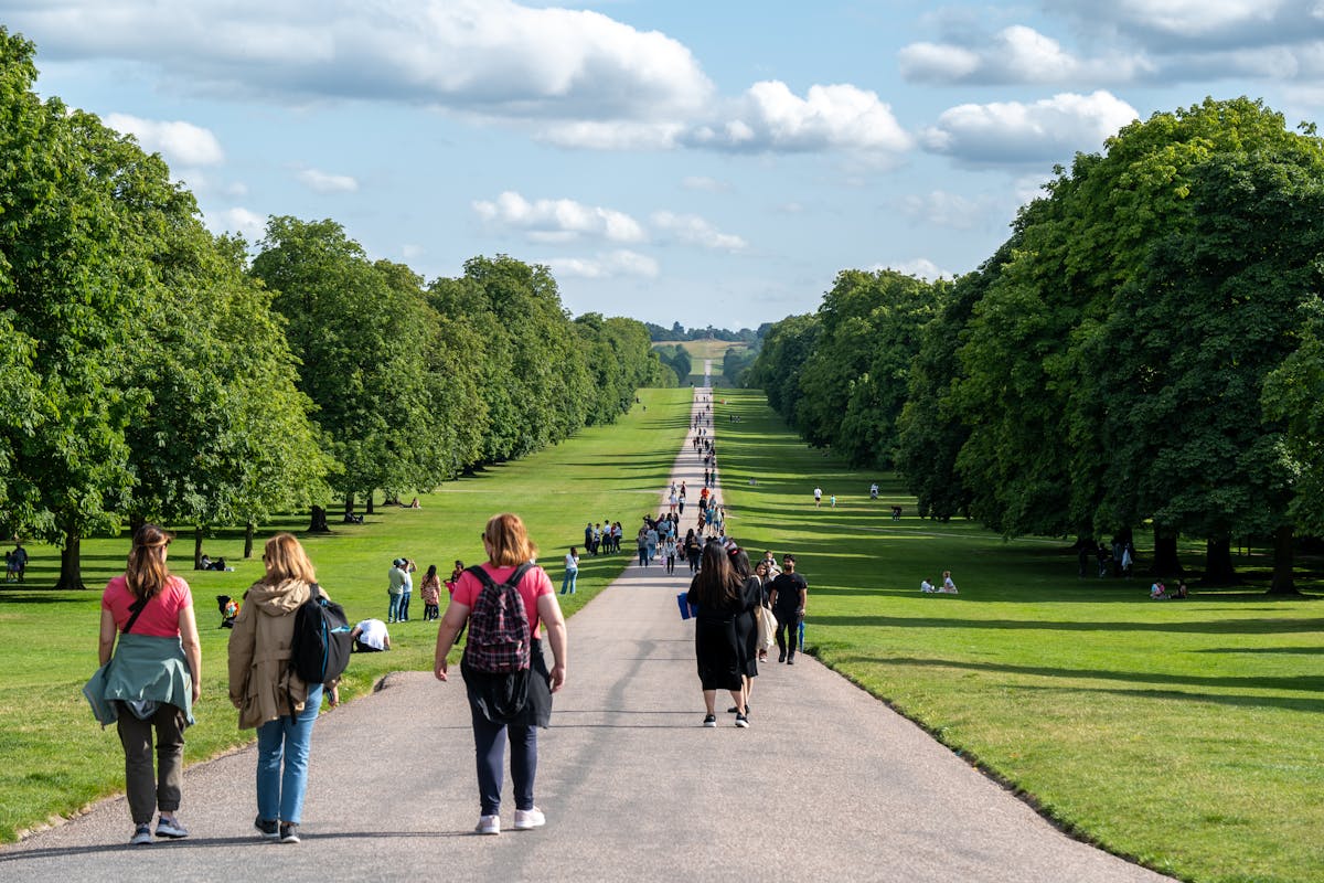 Sunny day with visitors walking the Long Walk at Windsor Great Park