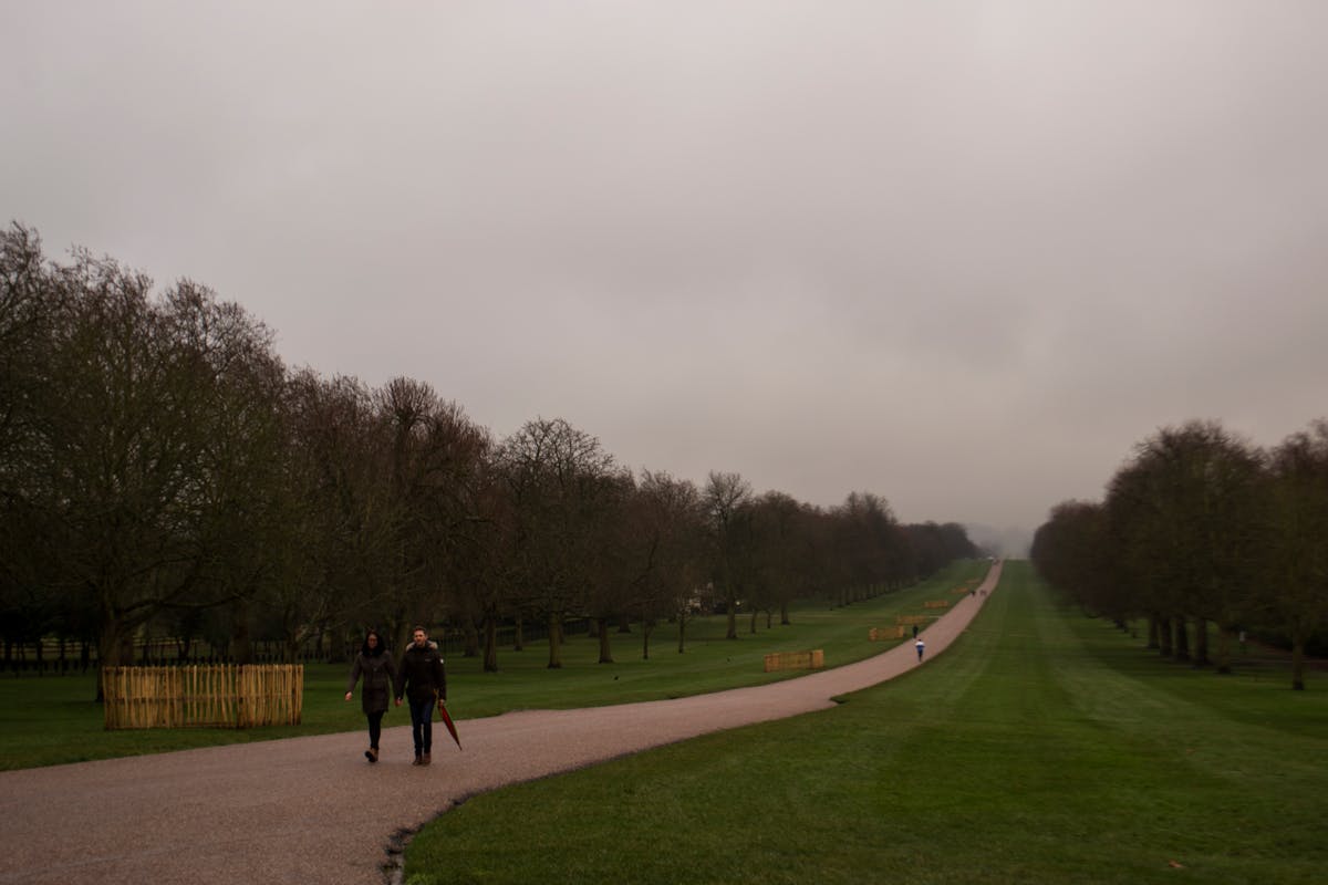 People walking along the Long Walk in Windsor Great Park