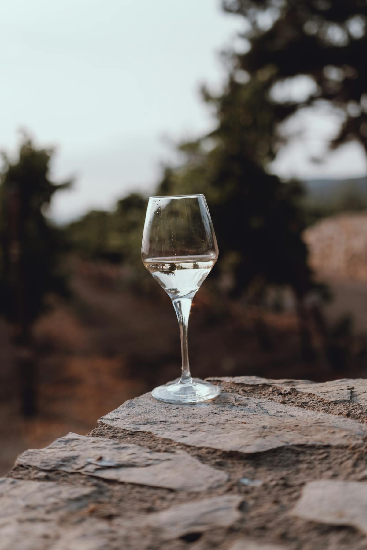 A clear wine glass sitting on a stone ledge with a vineyard stretching out behind it