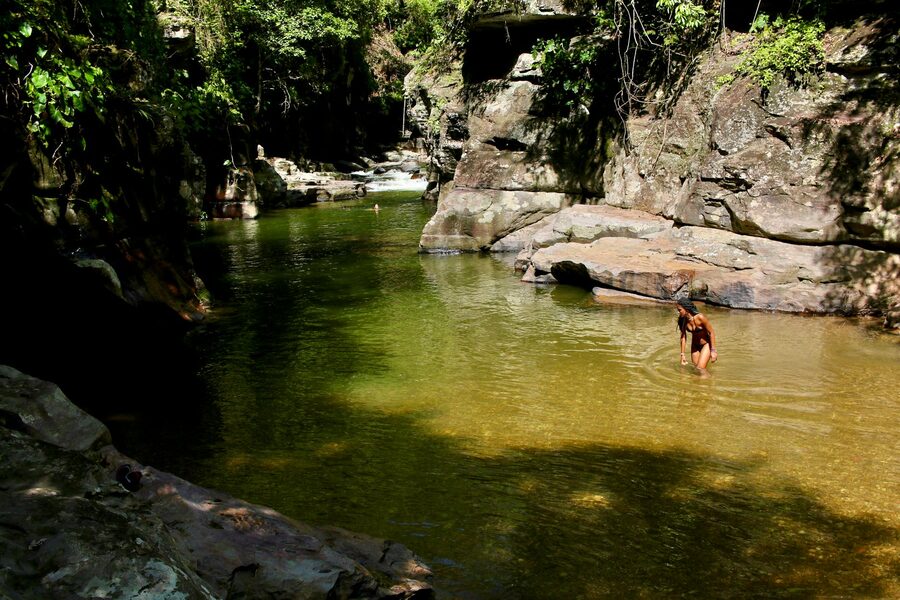 Woman swimming in a rocky creek surrounded by lush green vegetation