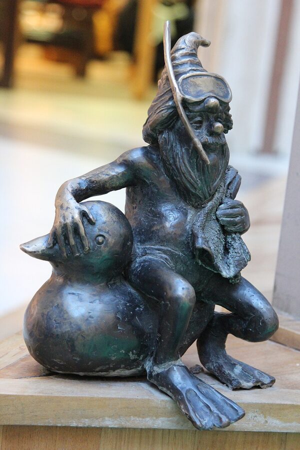 Babelek Chlapus bubble-spiller dwarf Wroclaw