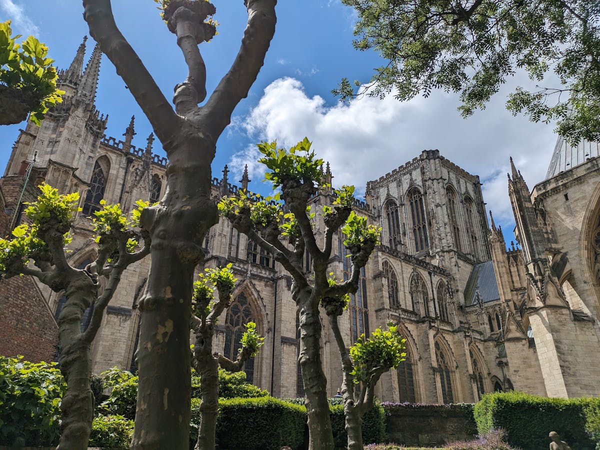 York Minster cathedral framed by pruned trees under a sunny sky