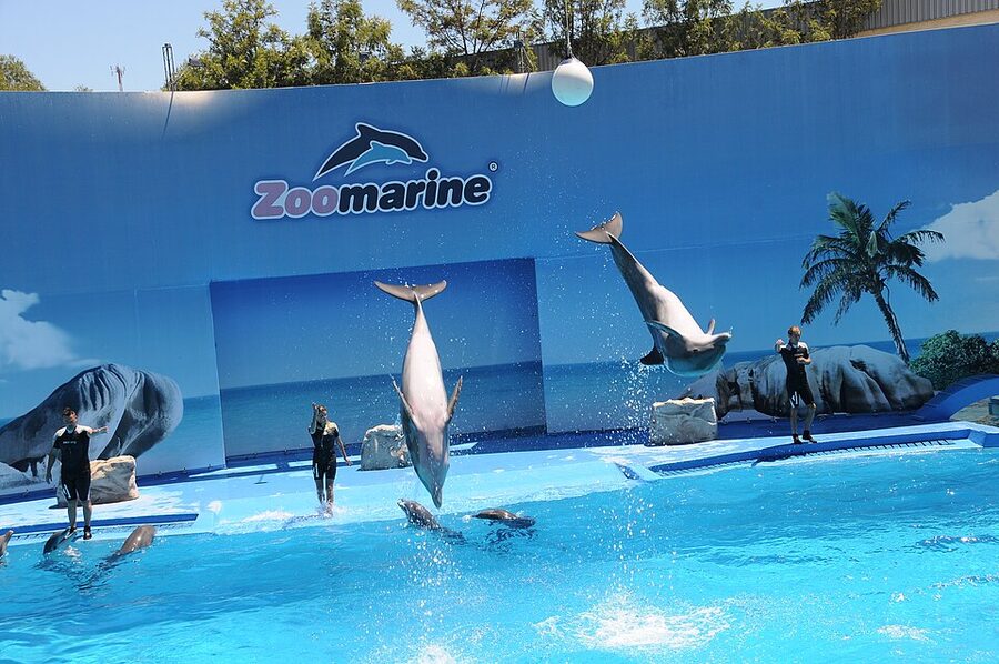 Zoomarine Algarve tropical bird aviary