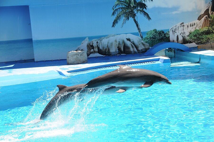 Zoomarine Algarve internal path between attractions