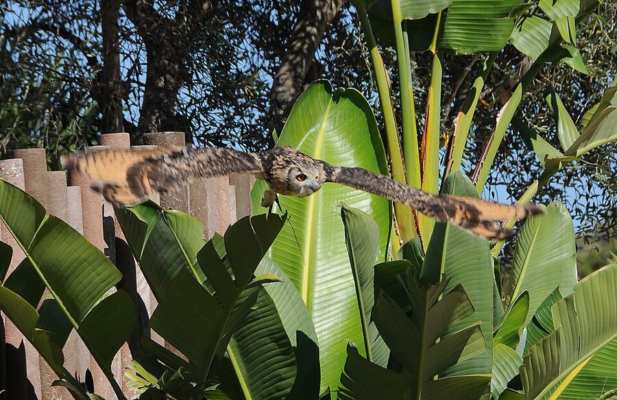 Zoomarine Algarve park overview