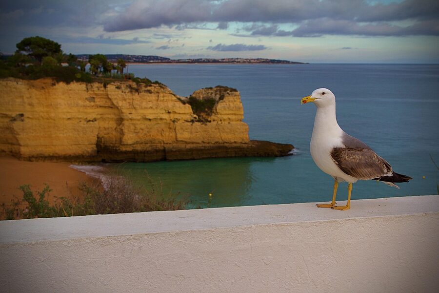 Albufeira Portugal coastal old town