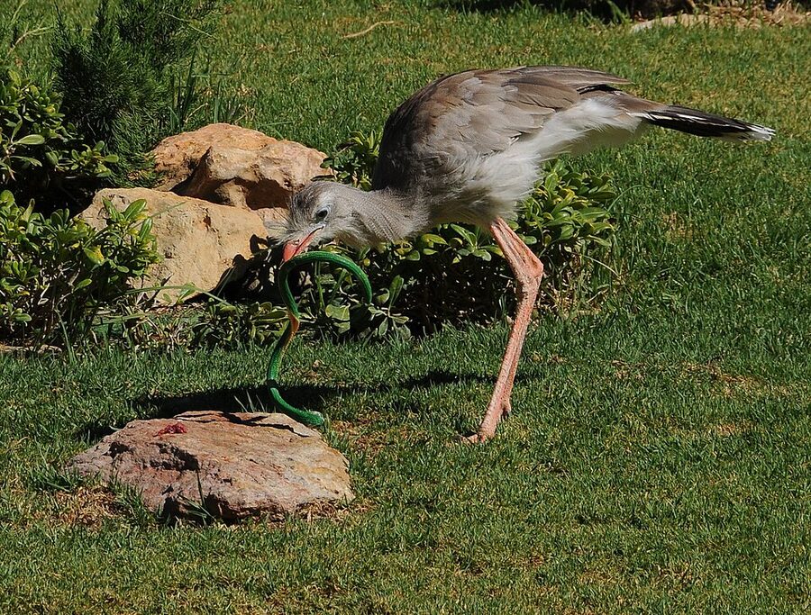 Zoomarine Algarve river rapids ride