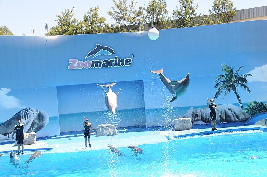 Zoomarine Algarve water attractions splash zones