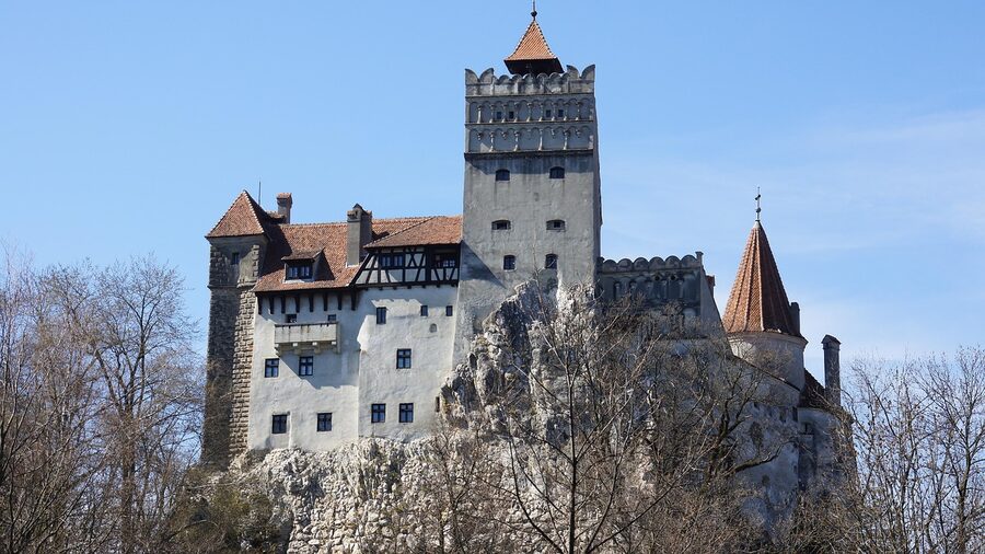 Bran Castle Romania at twilight against pine forest