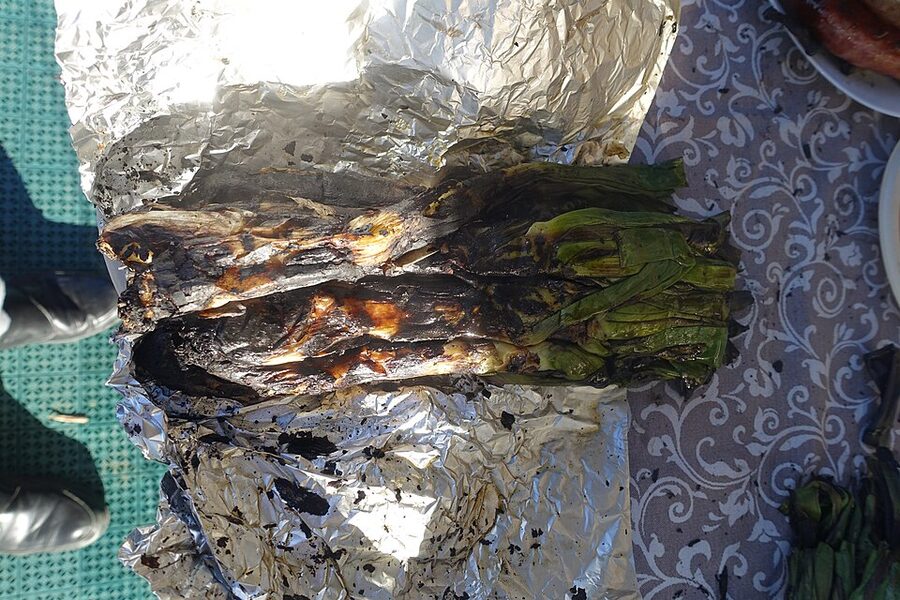 Calcots Catalonia spring onions on the grill
