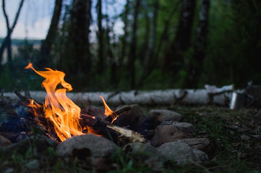 Campfire burning in a forest setting on a moose safari evening