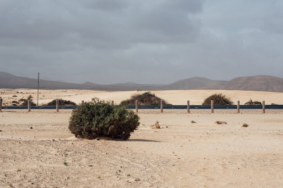 Arid desert landscape Canary Islands