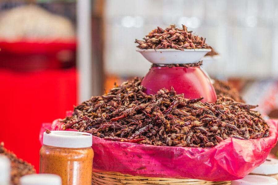 Edible insects display at a Southeast Asian market stall