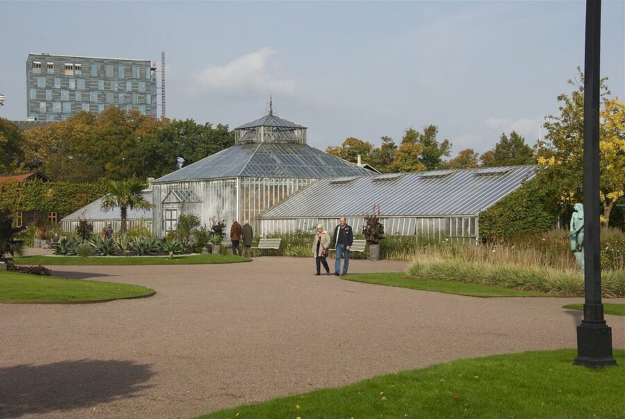 Trädgårdsföreningen palm house Gothenburg garden park