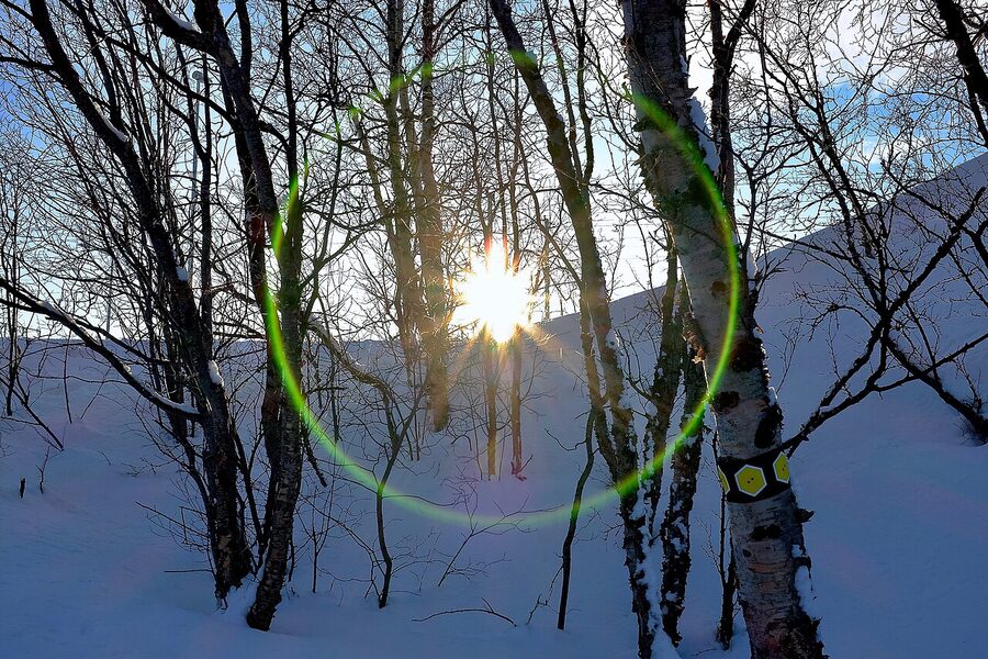 Late winter scene in Abisko National Park with thinning snow cover