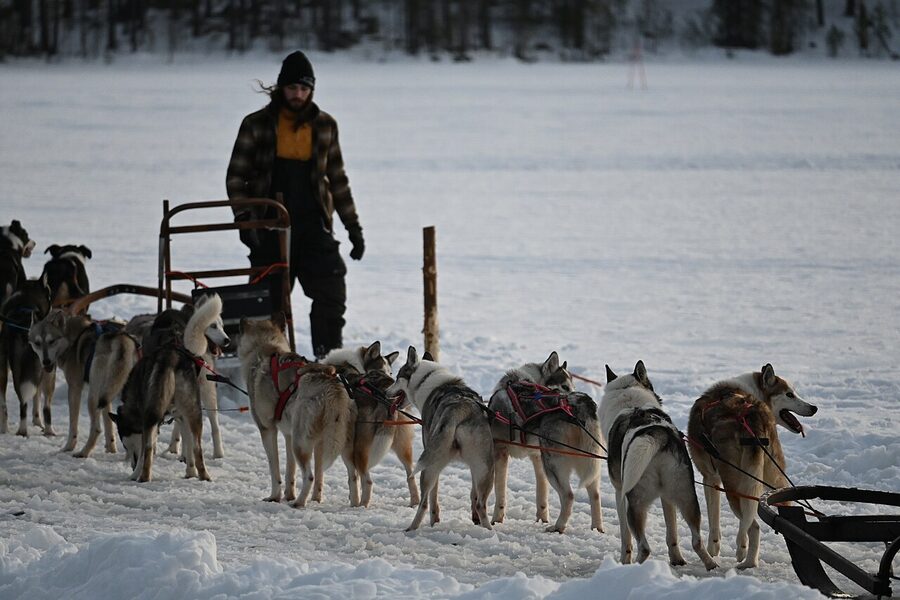 Husky sled tour with passenger seated in sled on snowy trail