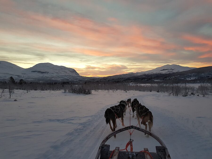 Husky sled team running at dusk in Arctic Lapland landscape