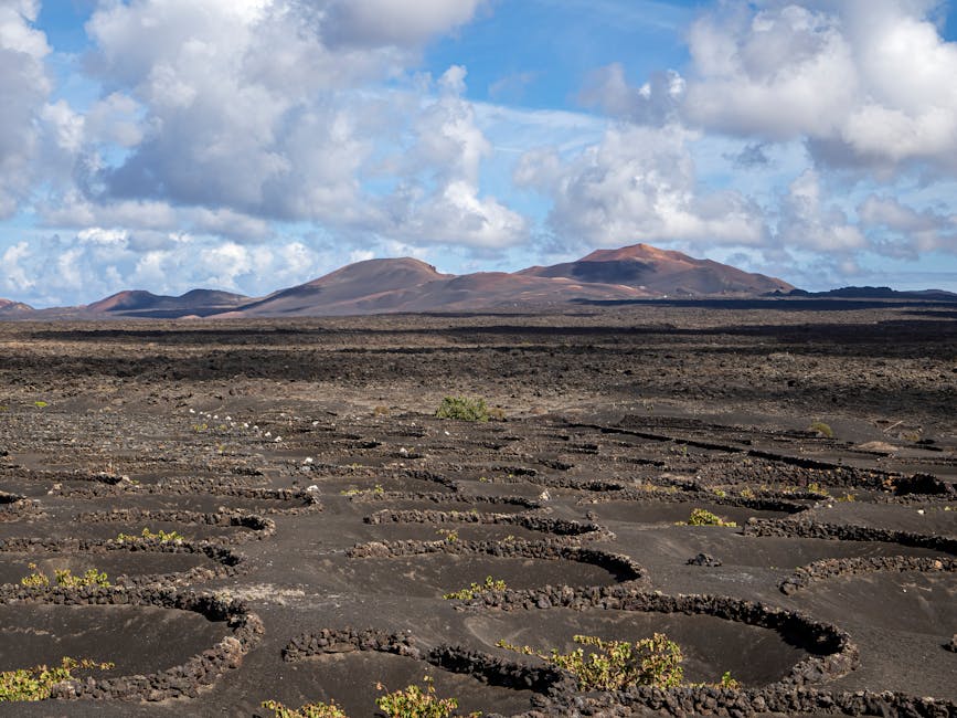 La Geria volcanic vineyards Lanzarote