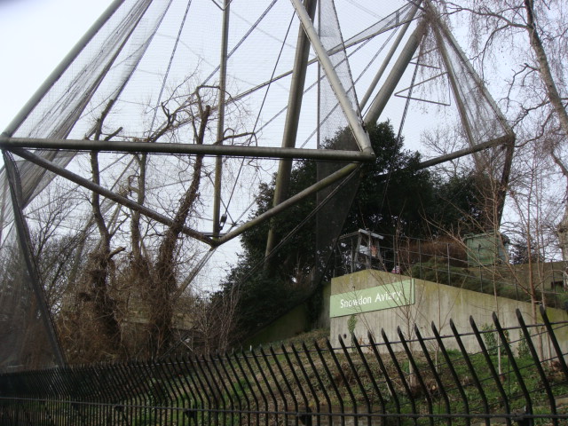 Snowdon Aviary from Regents Canal towpath