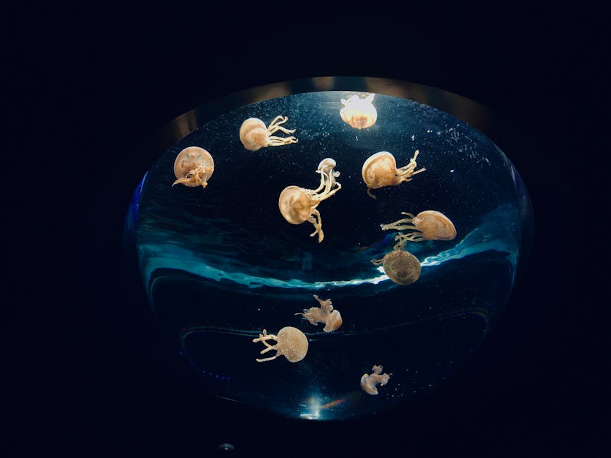 Jellyfish in a glowing aquarium tank