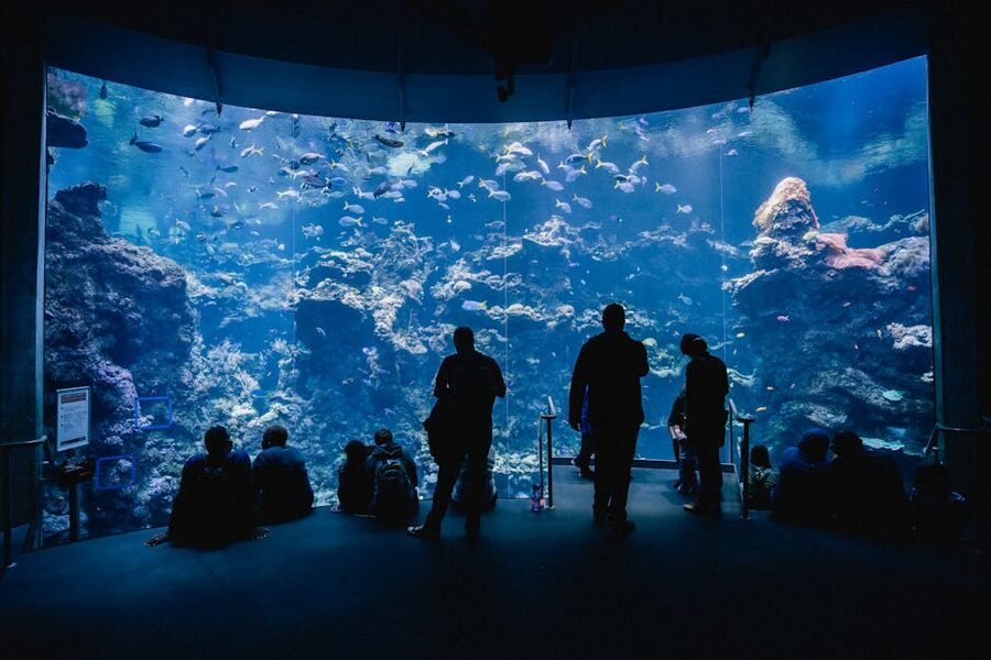 Visitors silhouetted in front of a large aquarium tank