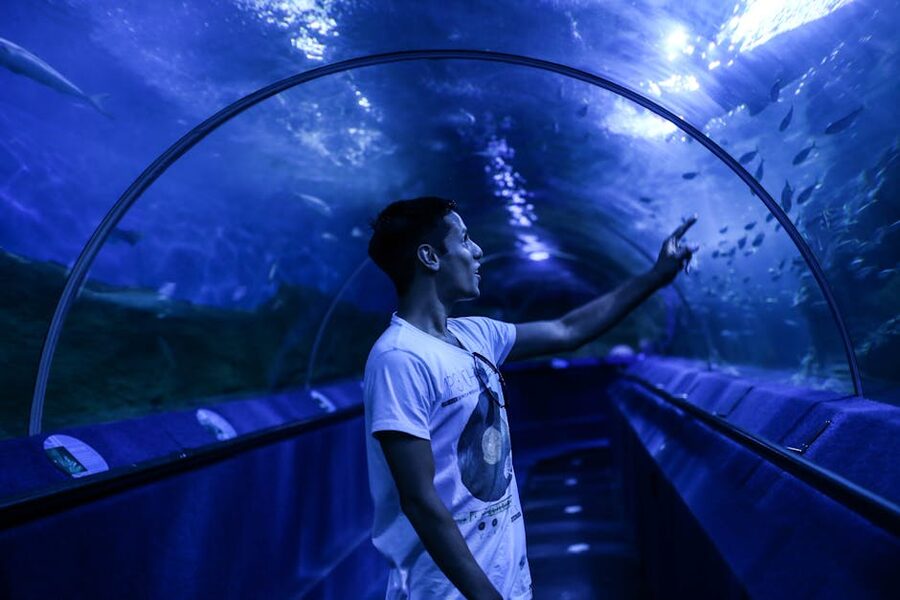 Visitor at an aquarium tunnel watching fish through the curved glass
