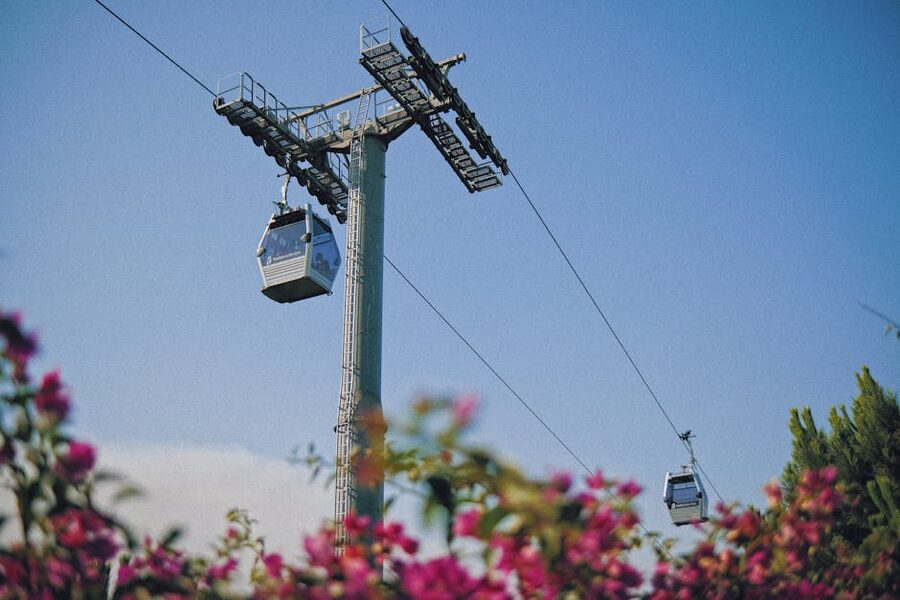 Montjuic cable cars travelling over flowering plants in summer Barcelona