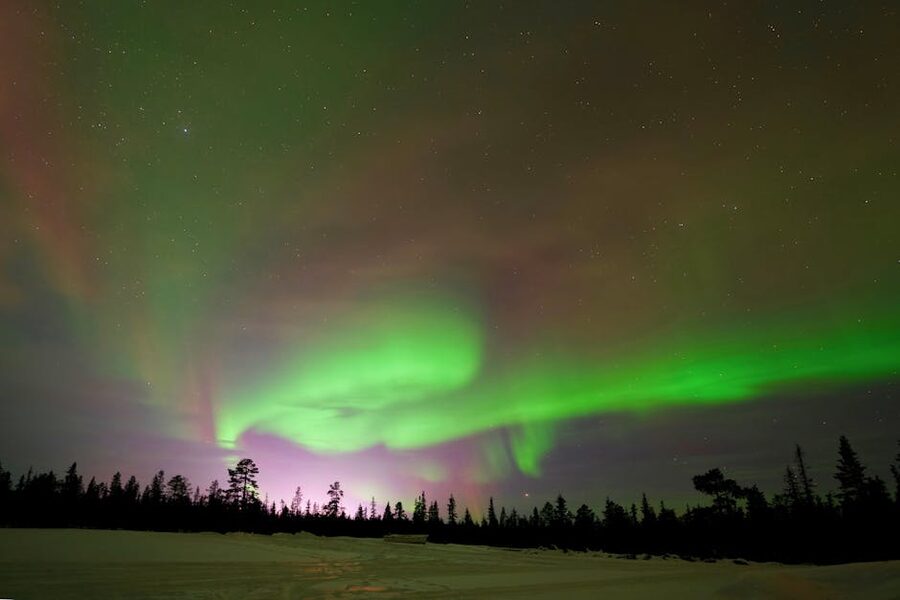 Northern lights over snowy forest near Kiruna