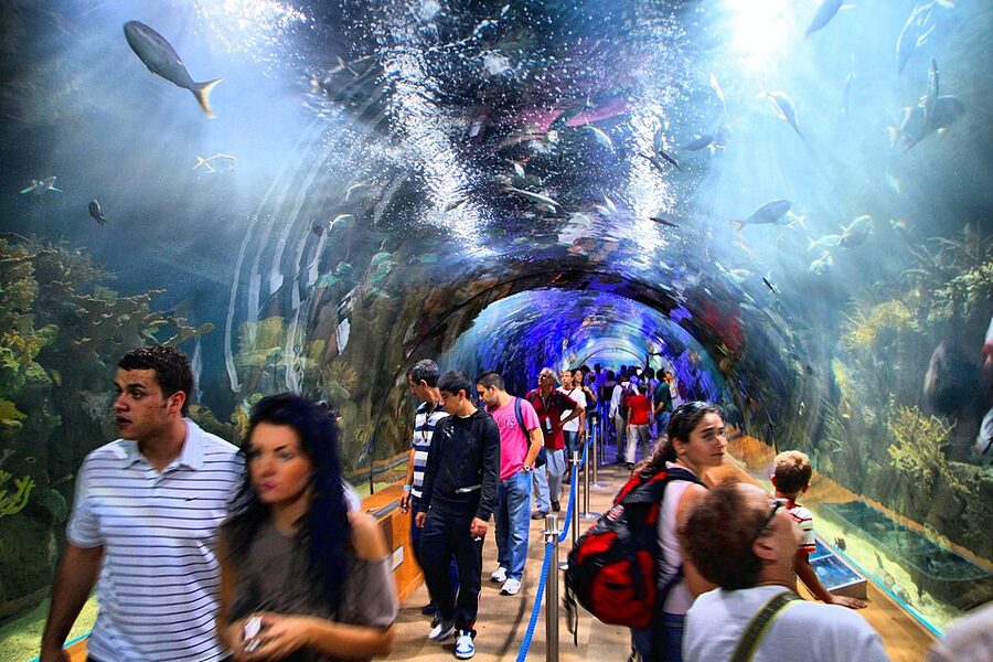 Oceanografic Valencia underwater glass tunnel with sharks