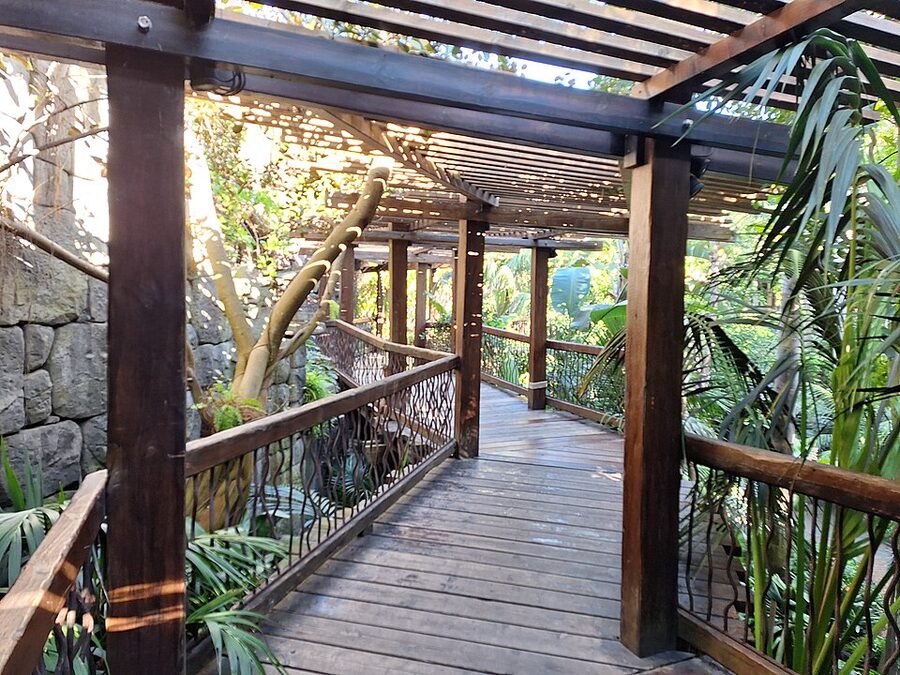 Wooden walkway through jungle at Palma Aquarium
