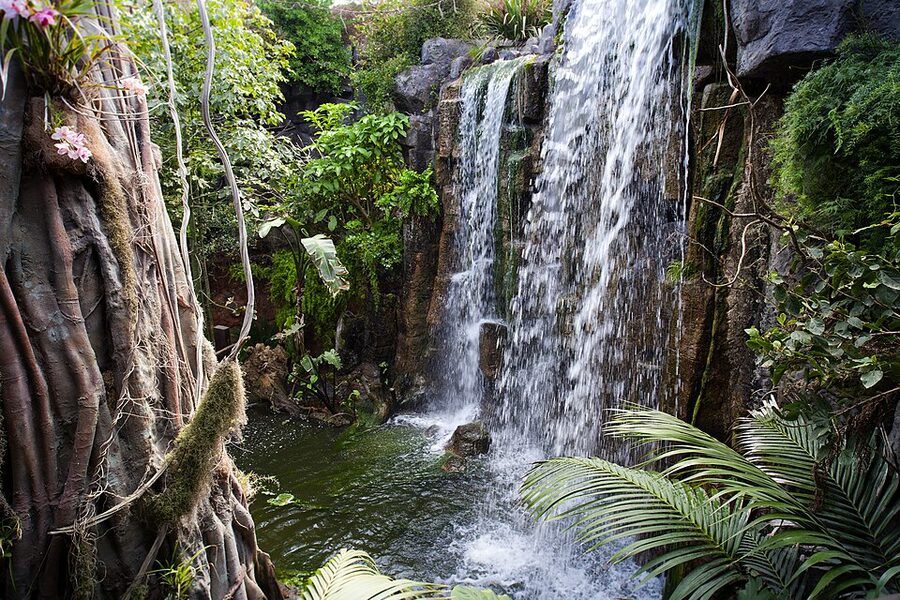 La Jungla tropical zone outdoor area at Palma Aquarium