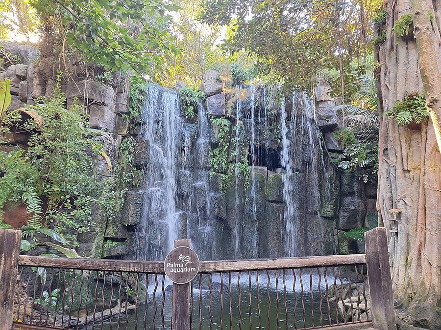 Outdoor waterfall in tropical jungle area Palma Aquarium