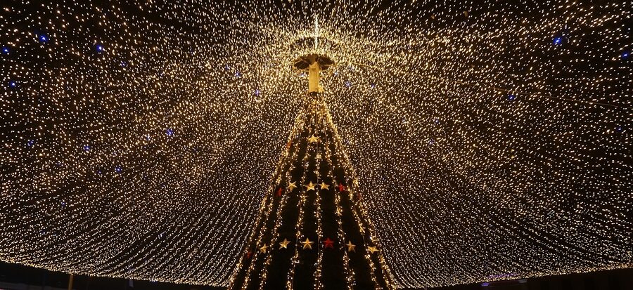 Sibiu Christmas market tree and lights