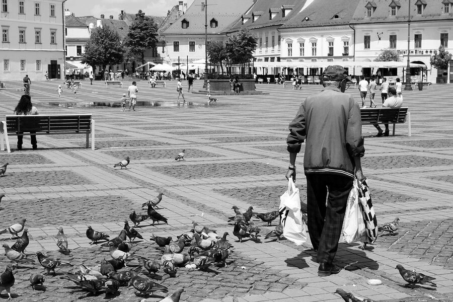 Sibiu Piata Mare with pigeons