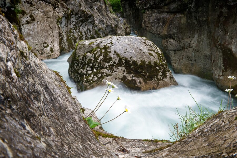 Soca River gorge with wild water flowing through limestone canyon